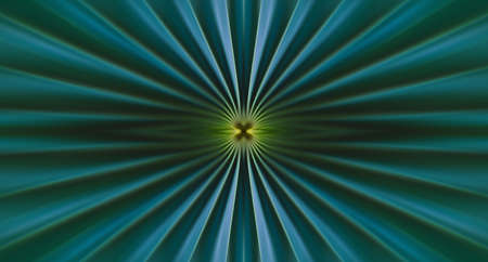 Tropical palm leaf  texture is abstract background, Banner or panorama photo