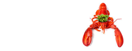 King of lobster with vegetable crown isolated on white backgroundの写真素材
