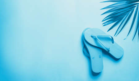 Summer concept of flip flop with palm leaf, Monotone blue color filterの写真素材