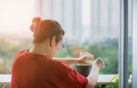 Women plant trees on the balcony of the condo room. A new normal of lifestyle for people after the epidemicの写真素材