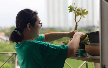 Women plant trees on the balcony of the condo room. A new normal of lifestyle for people after the epidemicの写真素材