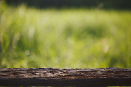 Wood empty with green nature background