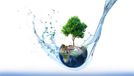 Planting for CSR. Small tree on hand over soil on green background, CSR concept . Doing business in environmental protectionの写真素材