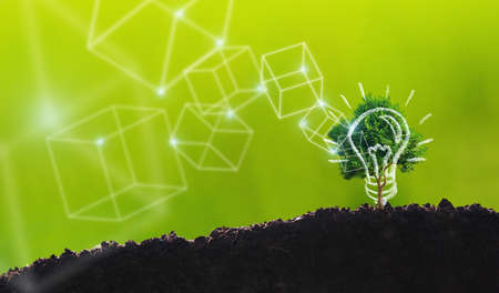 Planting for CSR. Small tree on hand over soil on green background, CSR concept . Doing business in environmental protectionの写真素材