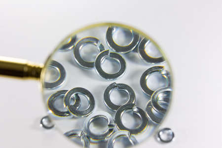 Spring Washers