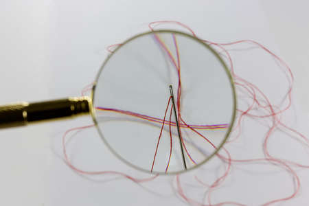 needle and cotton の写真素材