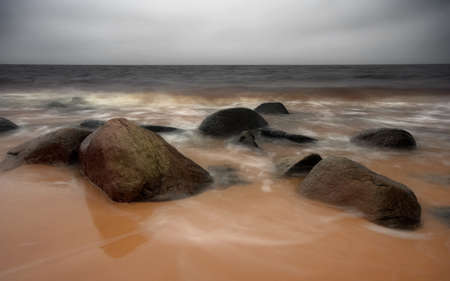 Tuja coast  Latvia の写真素材