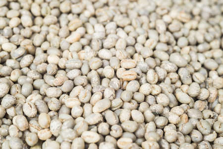 Coffee series : Raw green coffee beans background