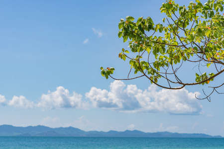 Tropical sea and island in summer