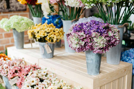 Silk flowers seriesの写真素材