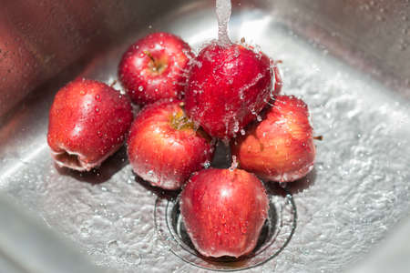 Fruits series : Washing applesの写真素材