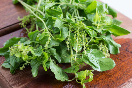 Food series : Fresh holy basil on wooden boardの写真素材