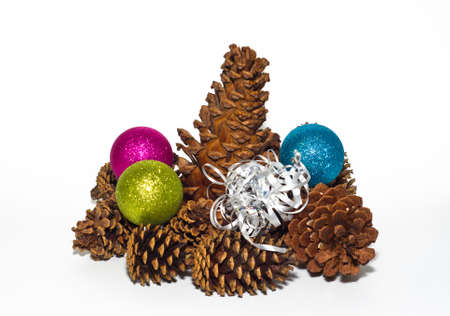 Group of pine cones on a white backgroundの写真素材