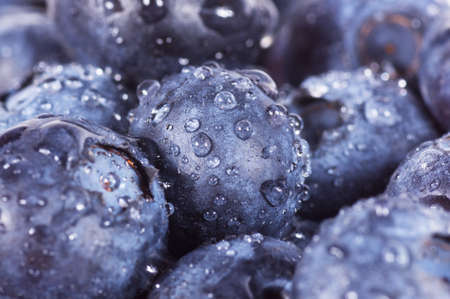 Closeup of fresh blueberries isolated on a white backgroundの写真素材