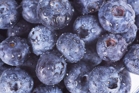 Closeup of fresh blueberries isolated on a white backgroundの写真素材