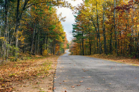 Fall  Country Roadの写真素材