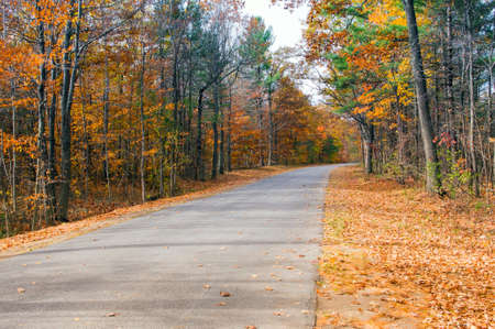 Fall  Country Roadの写真素材