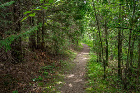 Point AuRoche State Parkの写真素材