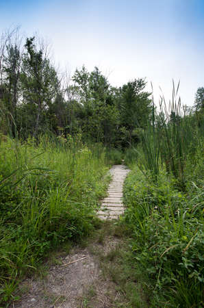 Point AuRoche State Parkの写真素材