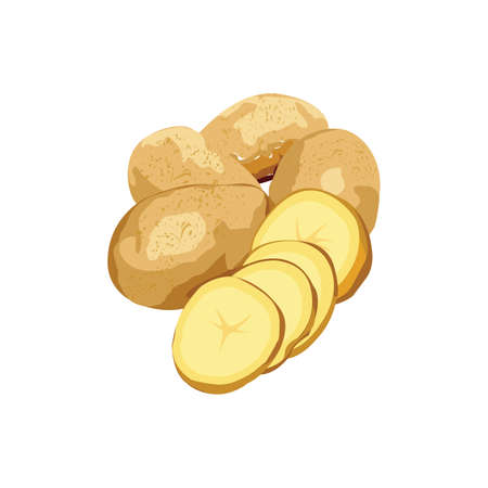 Raw Potato and Sliced Potatoのイラスト素材