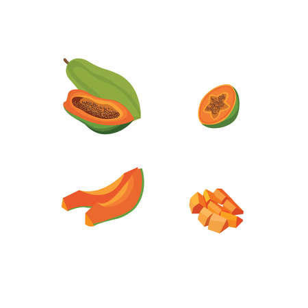 Set of papaya fruitのイラスト素材