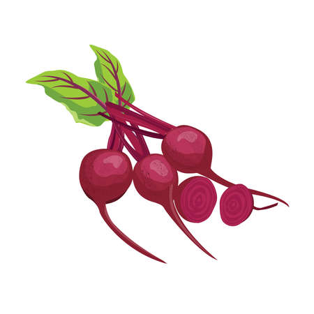 Fresh beetroot organic healthy