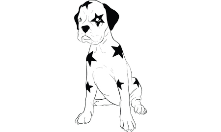 star boxerのイラスト素材