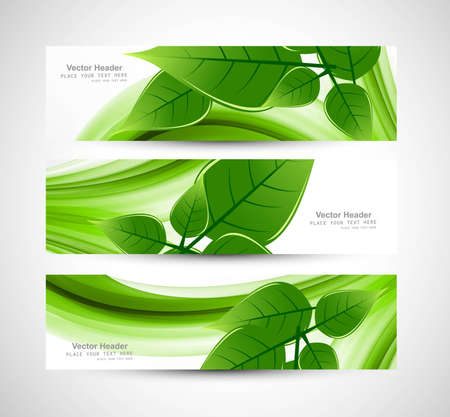 abstract Natural eco green lives headerのイラスト素材