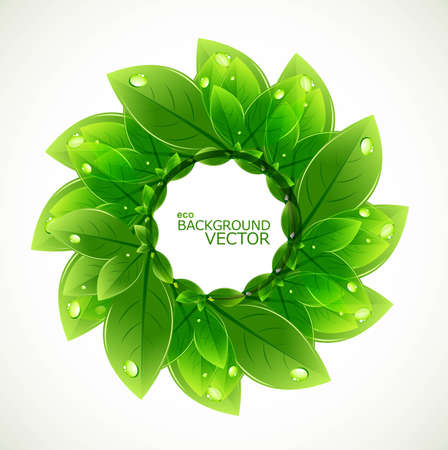abstract circle nature leaf ecology vector designのイラスト素材