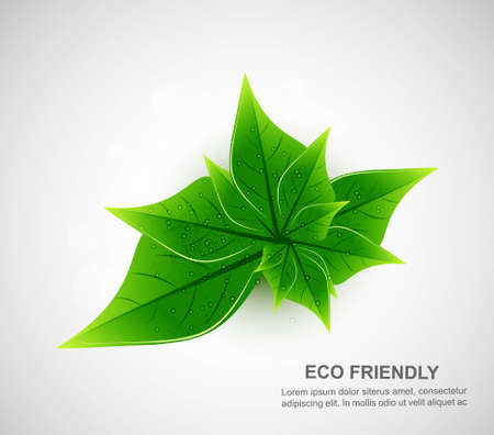 abstract natural eco green lives white backgroundのイラスト素材