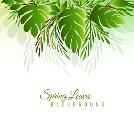 Decorative realistic tropical green leaves backgroundのイラスト素材