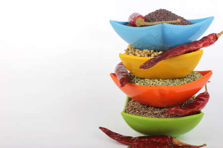 indian spices cumin, coriander, fennel & black mustard seeds with red pepper on white in melamine...