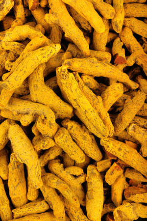 Turmericの写真素材