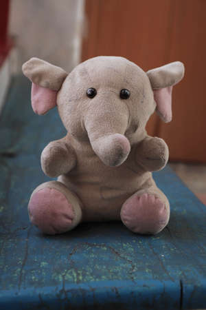 Cute Baby Elephant Soft Toyの写真素材