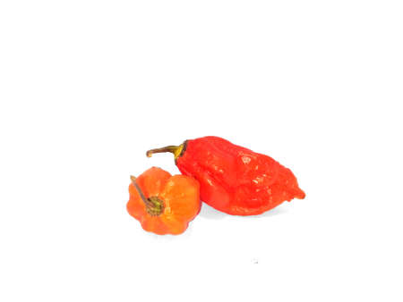 bhut jolokia ghost pepper isolated on white background. ghost pepper page border .bhut jolokia ghost pepper isolated on white background.bhut jolokia .の写真素材