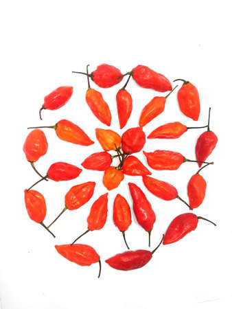 bhut jolokia ghost pepper isolated on white background. ghost pepper page border .bhut jolokia ghost...