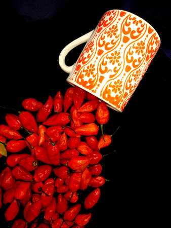 bhut jolokia ghost pepper is coming out of a mug on black background.ghost pepper ( bhut jolokia ) border on black cloth texture background.の写真素材