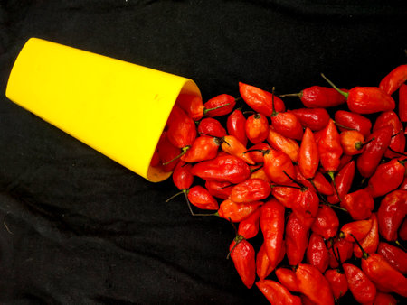 bhut jolokia ghost pepper is coming out of a mug on black background.ghost pepper ( bhut jolokia )...