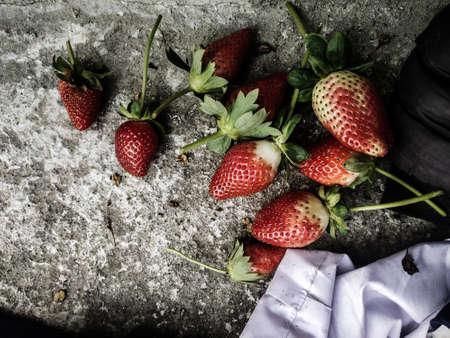 Red ripe strawberries background. Close up, top view.background from freshly harvested strawberries, directly above.の写真素材
