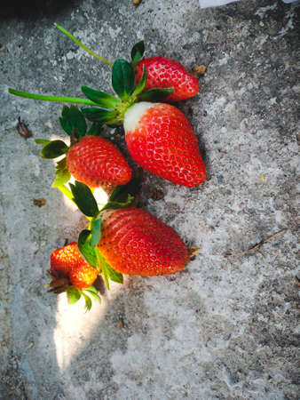 Red ripe strawberries background. Close up, top view.background from freshly harvested strawberries, directly above.の写真素材