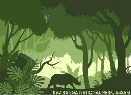 one horned rhino in kaziranga national park, assam. indian rhinoceros in forest. one horned rhino in forest.のイラスト素材