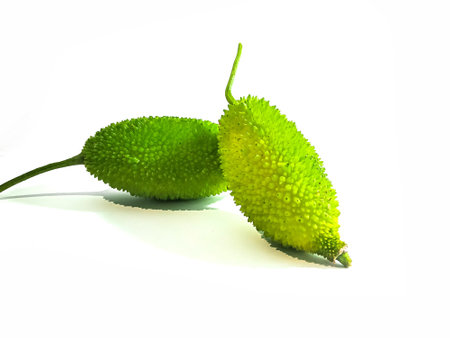 Spiny gourd or spine gourd also known as bristly balsam pear isolated on white backgroundの写真素材