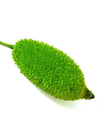 Spiny gourd or spine gourd also known as bristly balsam pear isolated on white backgroundの写真素材