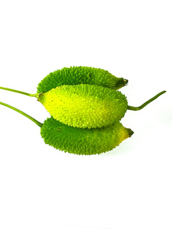 Spiny gourd or spine gourd also known as bristly balsam pear isolated on white background