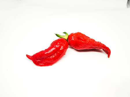 bhut jolokia ghost pepper isolated on white background. fresh Carolina Reaper.の写真素材