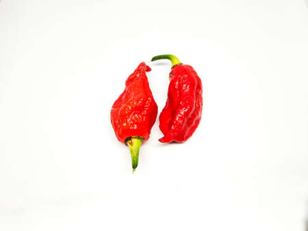 bhut jolokia ghost pepper isolated on white background. fresh Carolina Reaper.の写真素材