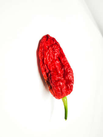 bhut jolokia ghost pepper isolated on white background. fresh Carolina Reaper.の写真素材