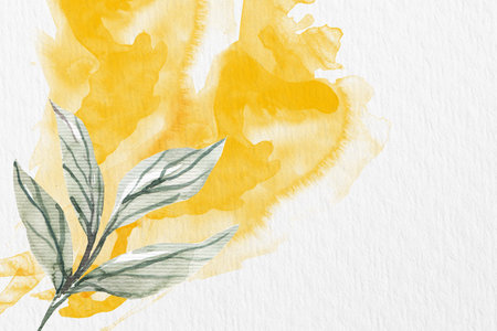 Watercolor floral background. Hand-drawn watercolor flowers on a white background.の写真素材