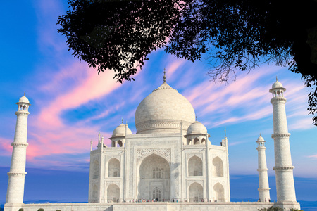 Front View of Taj Mahal in morning sky with treeの写真素材