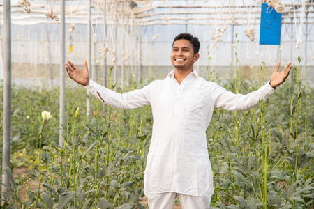 Young happy indian farmer standing with open arms at his poly house or greenhouse, agriculture business and rural prosperity concept. man wearing white kurta pajama cloths, copy space.の写真素材